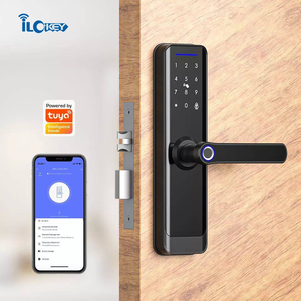 WIFI Smart Lock with Keypad